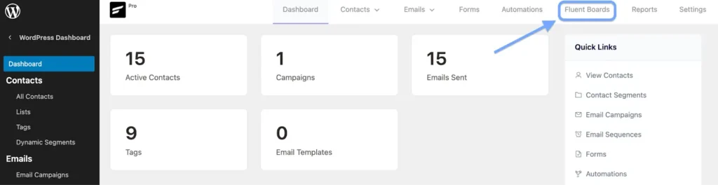 Manage your projects from FluentCRM dashboard